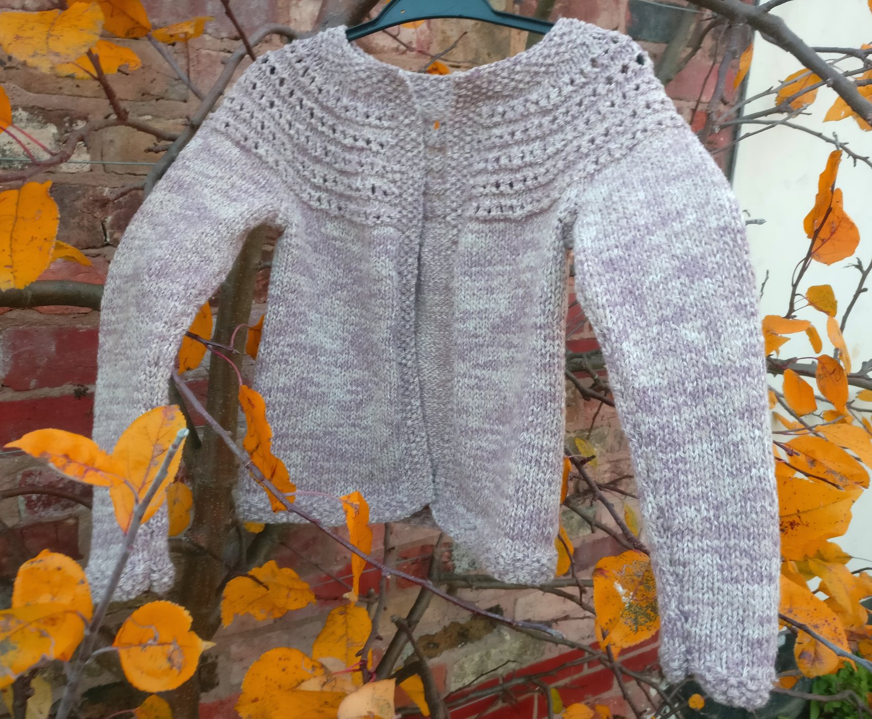 Girls Eyelet Yoke Cardigan